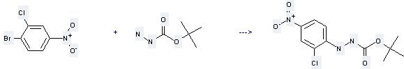 Benzene,1-bromo-2-chloro-4-nitro can react with Hydrazinecarboxylic acid tert-butyl ester to get N'-(2-Chloro-4-nitro-phenyl)-hydrazinecarboxylic acid tert-butyl ester.
